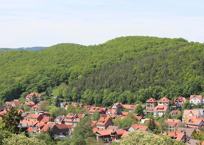 דירה Jagdhaus ורניגרוד